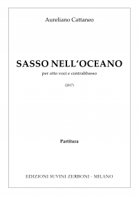SASSO NELLOCEANO_Cattaneo 1